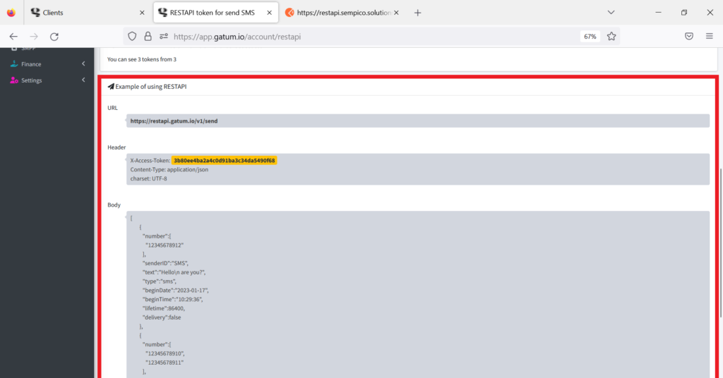example-of-using-rest-api-token